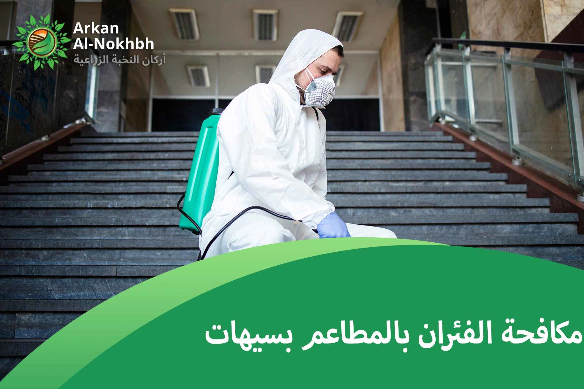 مكافحة الفئران بالمطاعم بسيهات