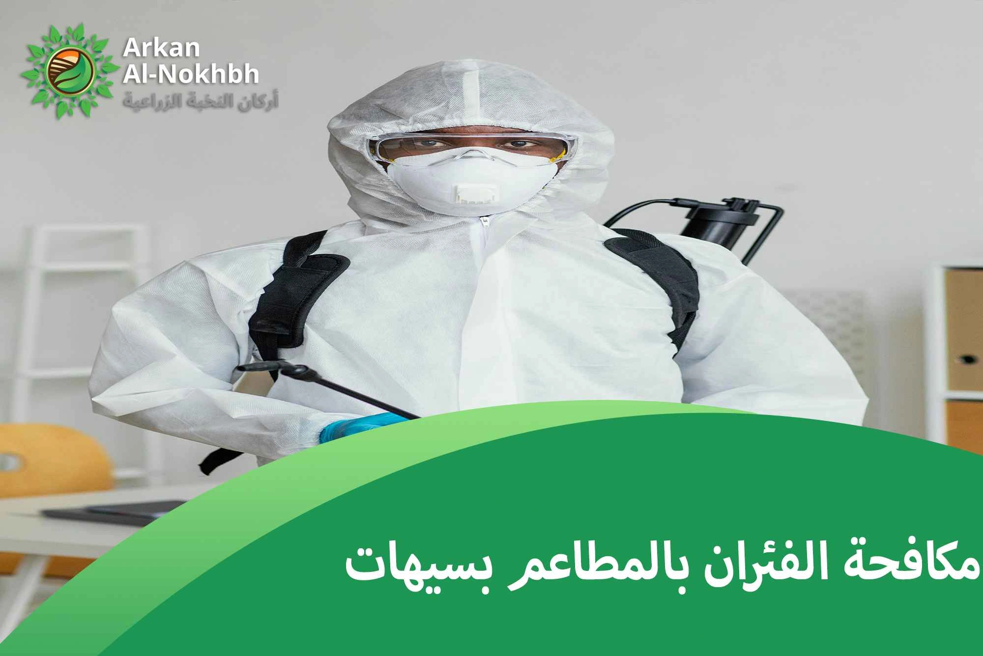 مكافحة الفئران بالمطاعم بسيهات