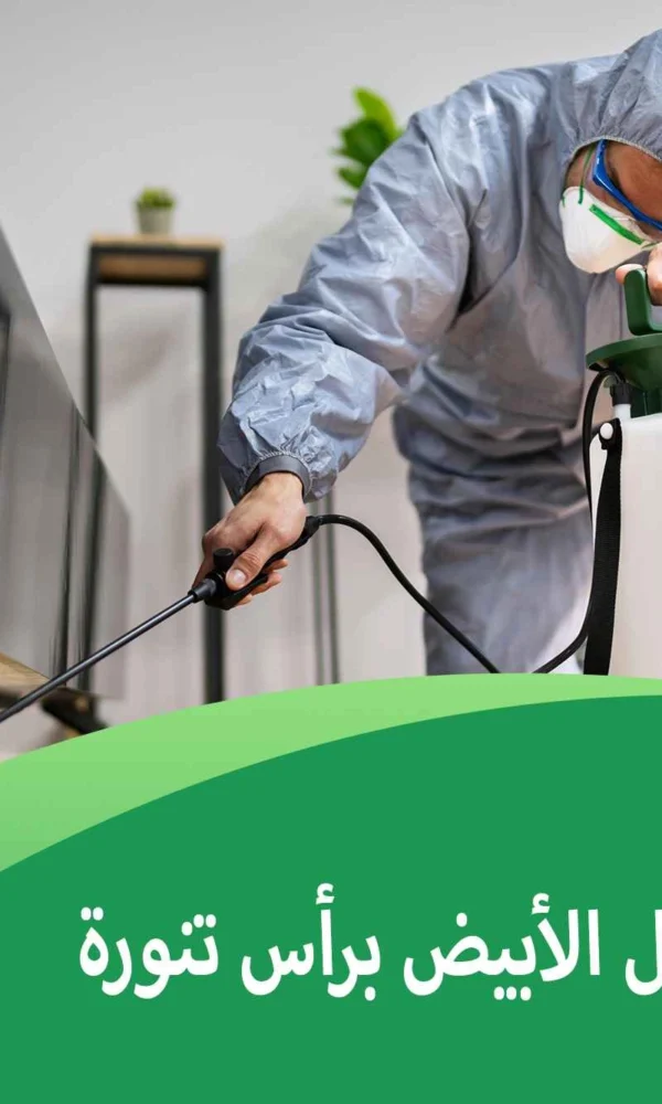 مكافحة النمل الأبيض برأس تنورة