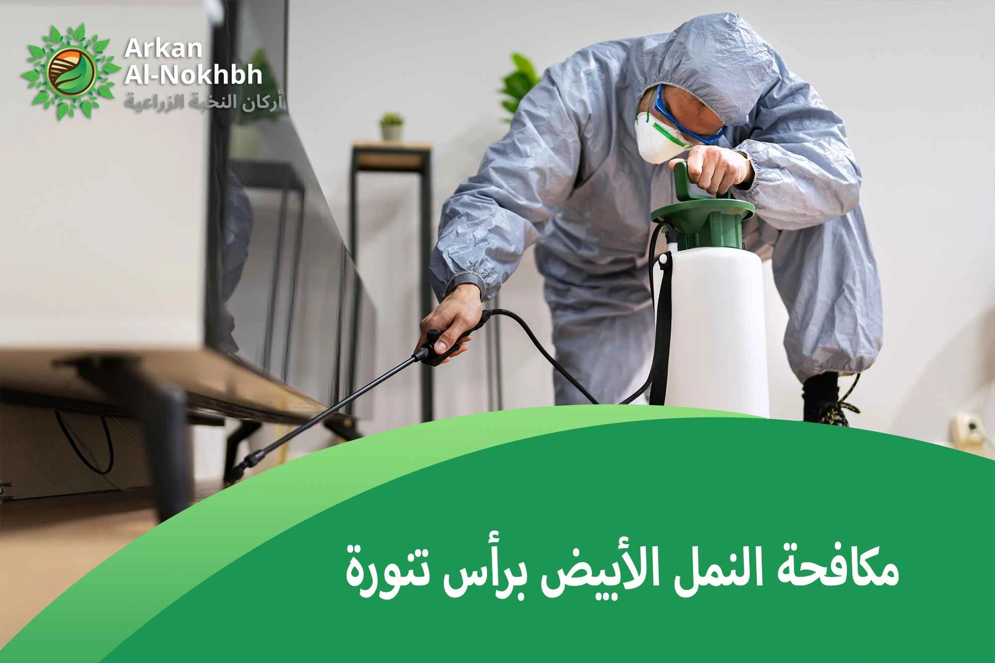 مكافحة النمل الأبيض برأس تنورة