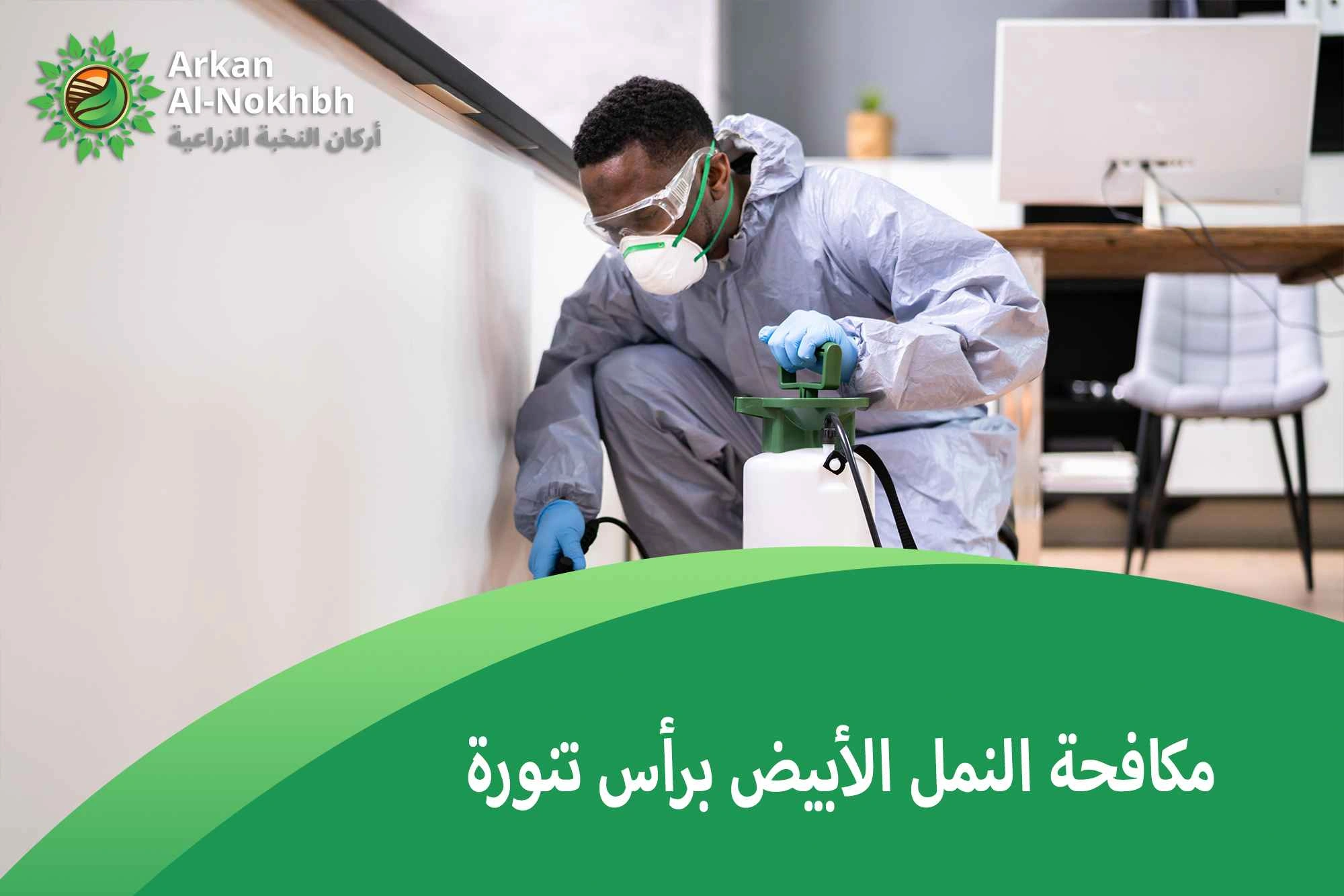 مكافحة النمل الأبيض برأس تنورة