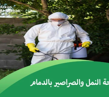 مكافحة النمل والصراصير بالدمام