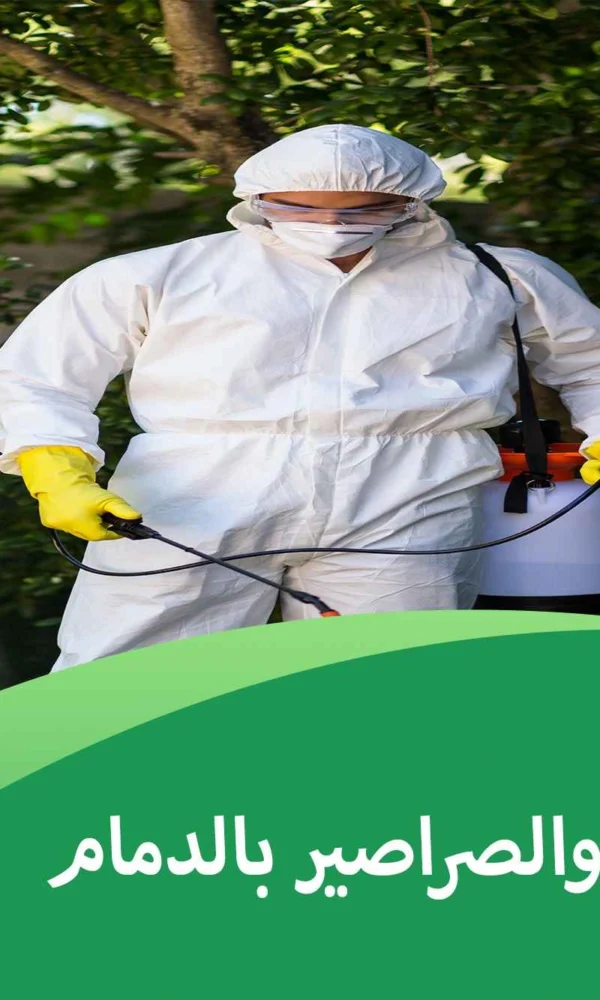 مكافحة النمل والصراصير بالدمام