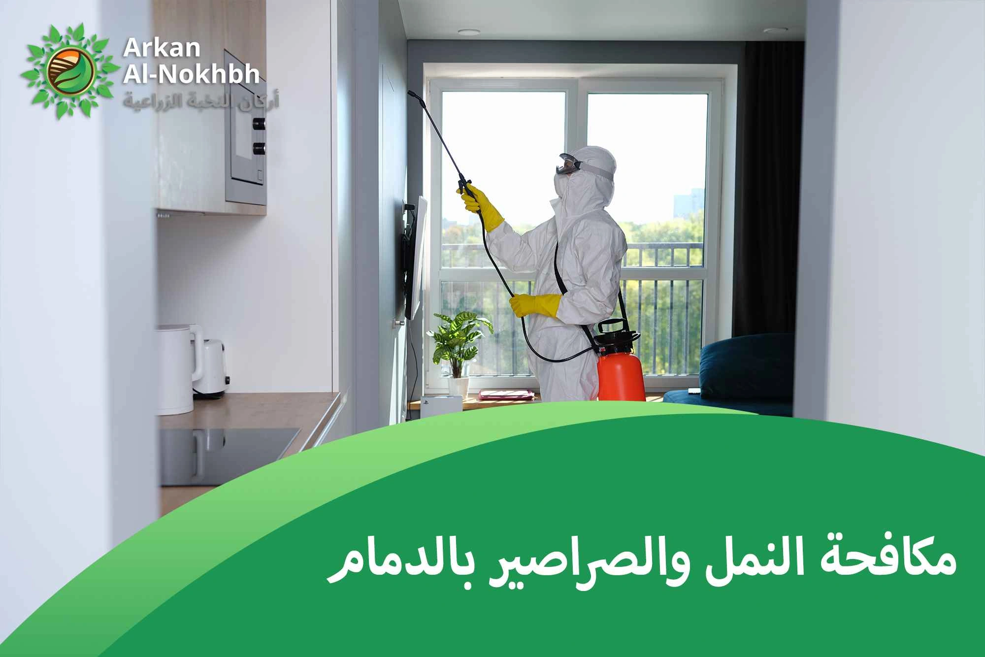 مكافحة النمل والصراصير بالدمام