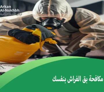 مكافحة بق الفراش بنفسك