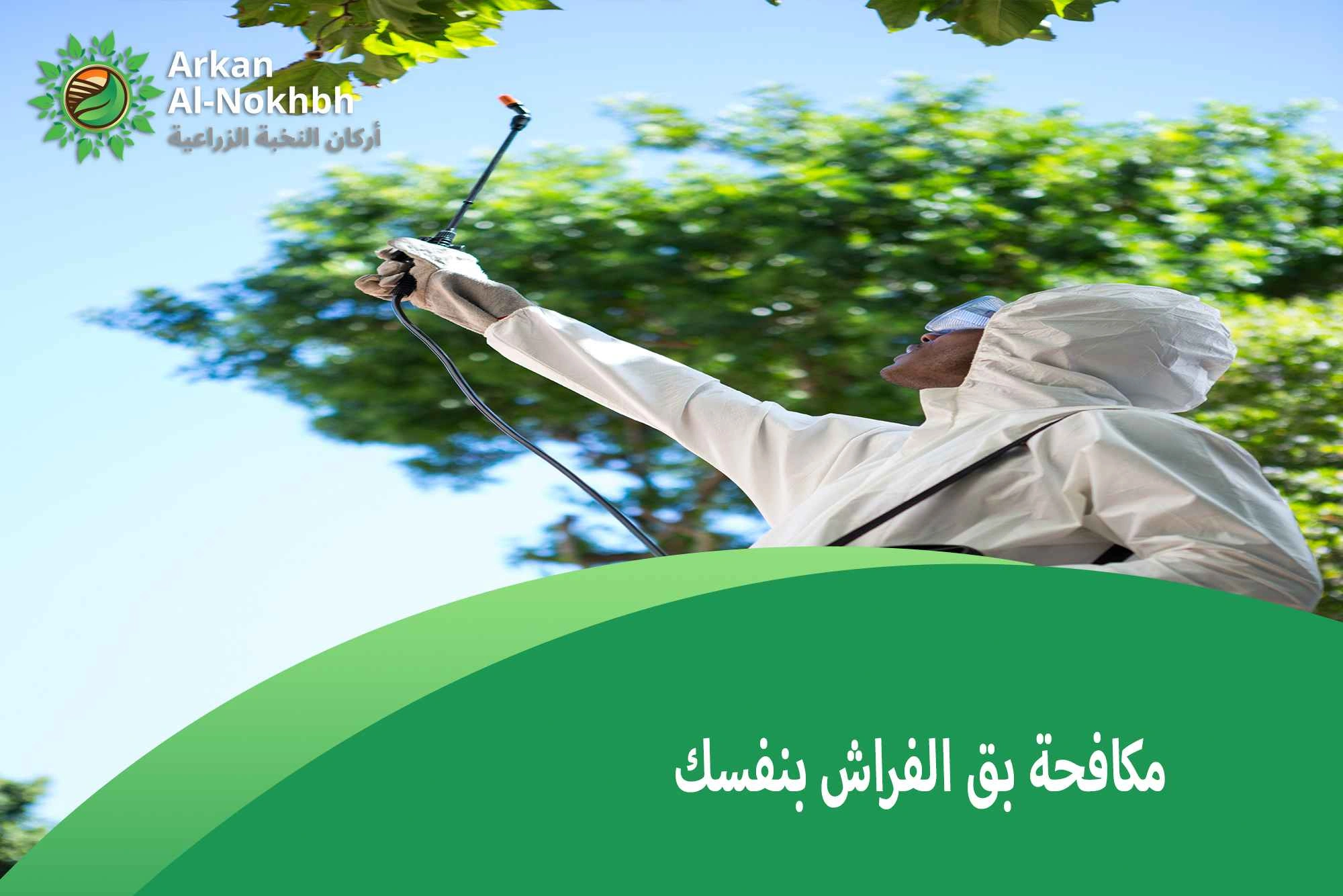 مكافحة بق الفراش بنفسك