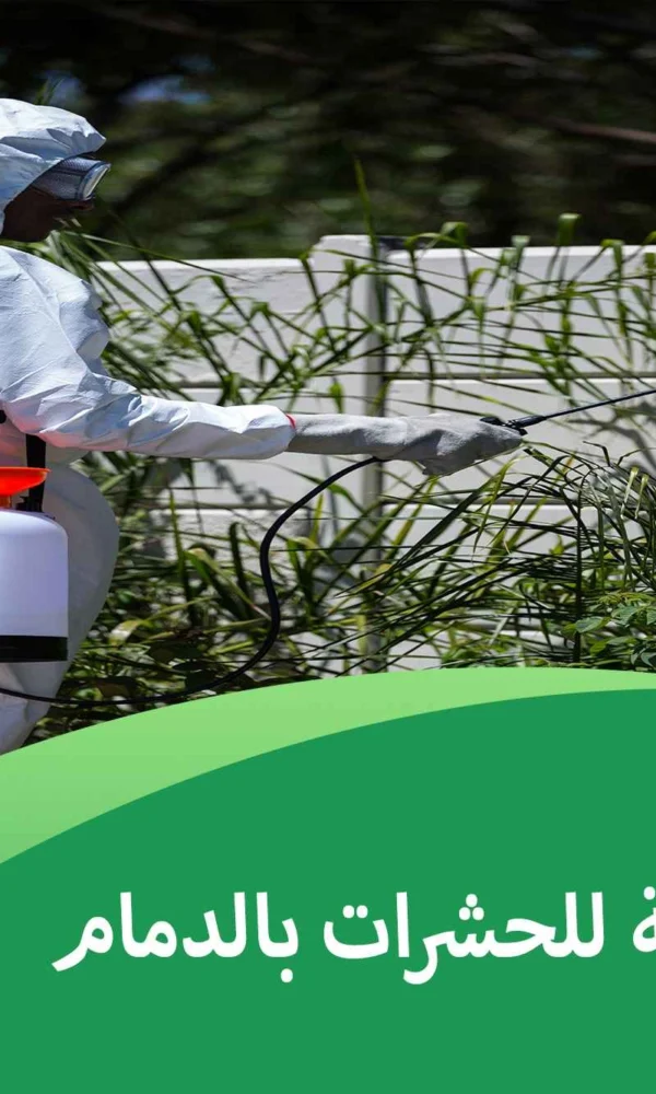 مكافحة طبيعية للحشرات بالدمام