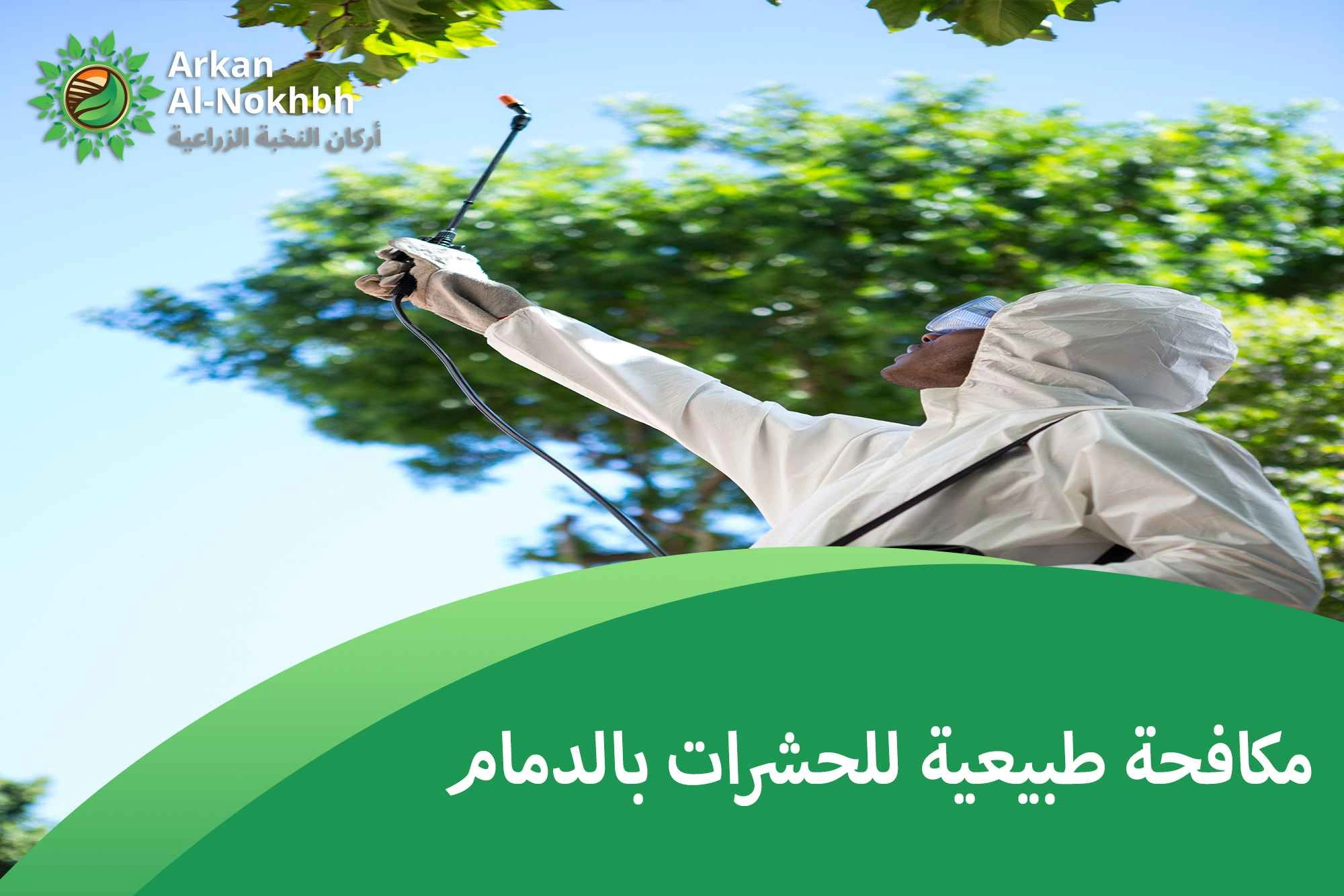 مكافحة طبيعية للحشرات بالدمام